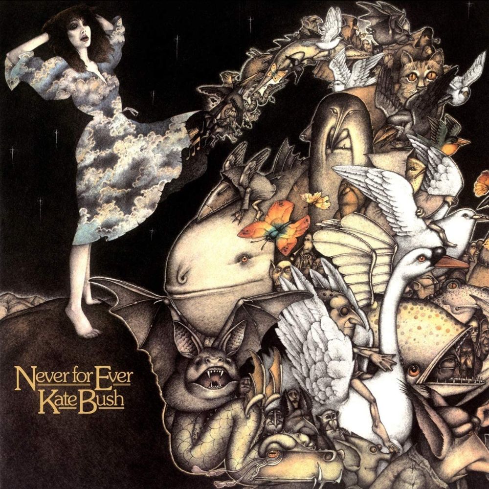Albums & Compilations | Kate Bush Collectibles